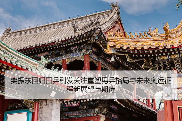 樊振东回归国乒引发关注重塑男乒格局与未来奥运征程新展望与期待