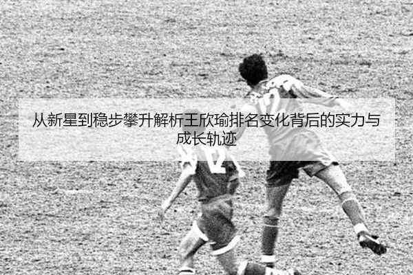 从新星到稳步攀升解析王欣瑜排名变化背后的实力与成长轨迹