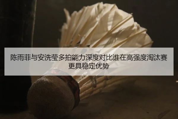 陈雨菲与安洗莹多拍能力深度对比谁在高强度淘汰赛更具稳定优势